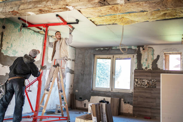 Best Insulation Installation Services in Memphis, TX
