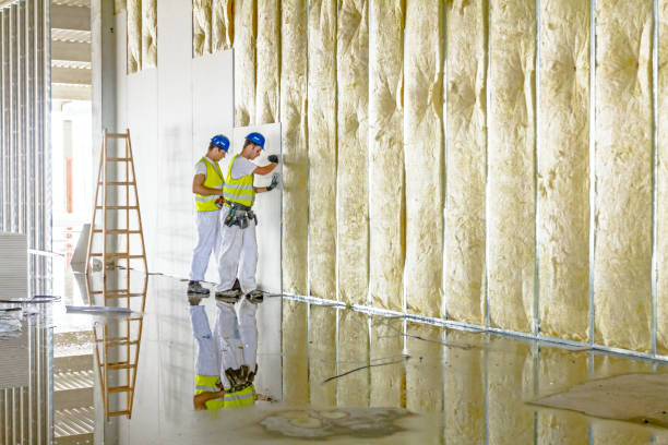 Best Insulation Installation Services in Memphis, TX